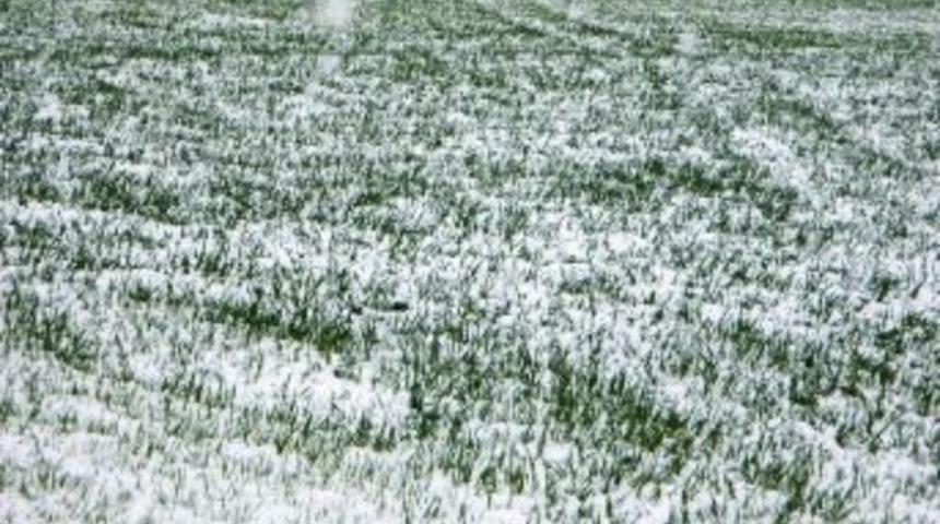 Aydın&rsquo;a Zirai Don Ve Buzlanma Uyarısı