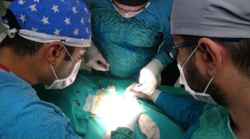 Av K&ouml;peğine Boyun Fıtığı Ameliyatı