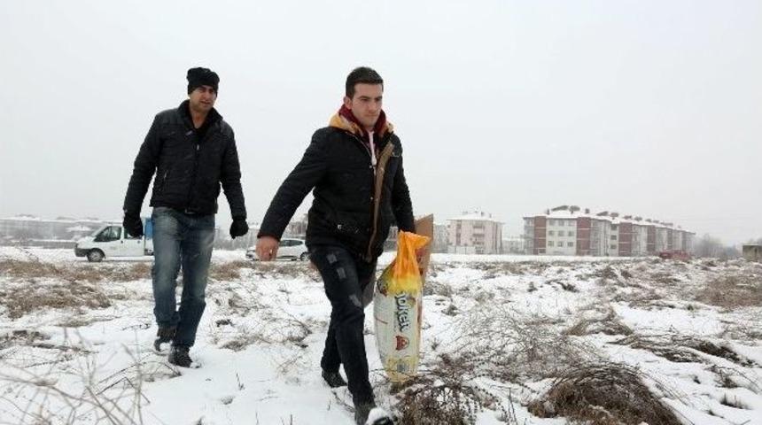 Bolu&rsquo;da Sokak Hayvanları İ&ccedil;in Mama Bırakıldı
