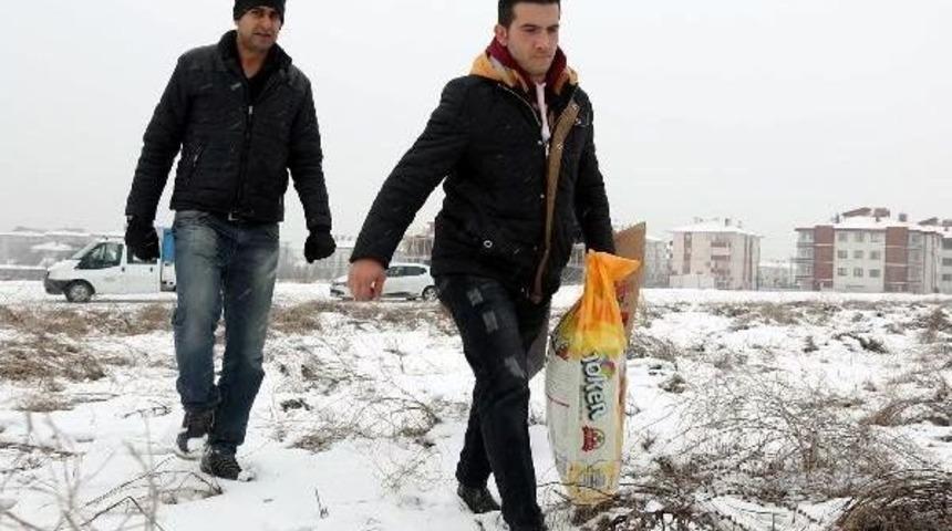 Bolu'da Sokak Hayvanlarına Yiyecek Bırakıldı