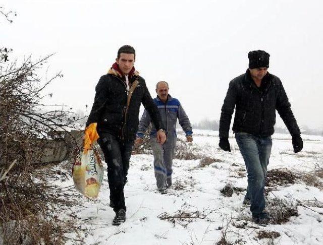 Bolu'da Sokak Hayvanlarına Yiyecek Bırakıldı