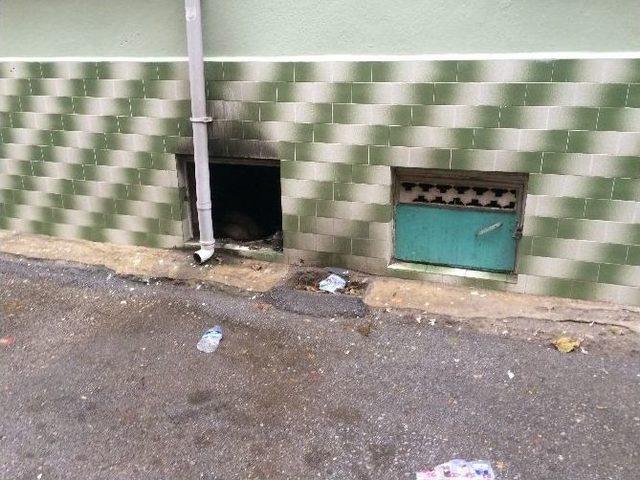 Bursa’da Korkutan Yangın 1