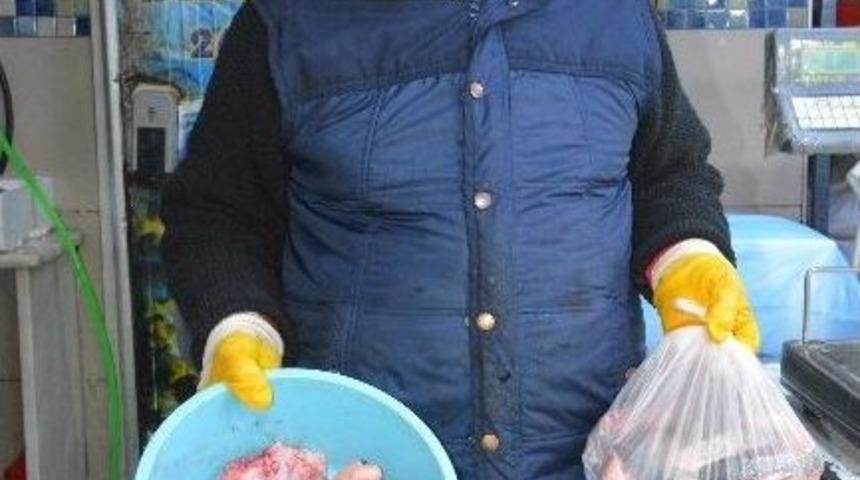 Sinop&rsquo;ta Yakalanan 8 Kiloluk Levrek 500 Tl&rsquo;ye Satıldı