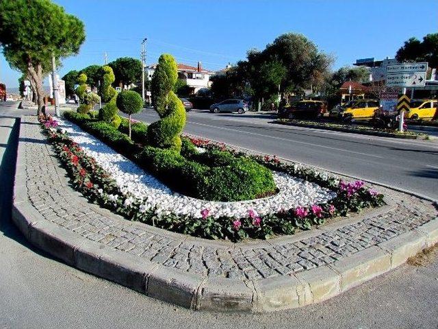 Çeşme’de Ağaçlandırmaya Hız Verildi