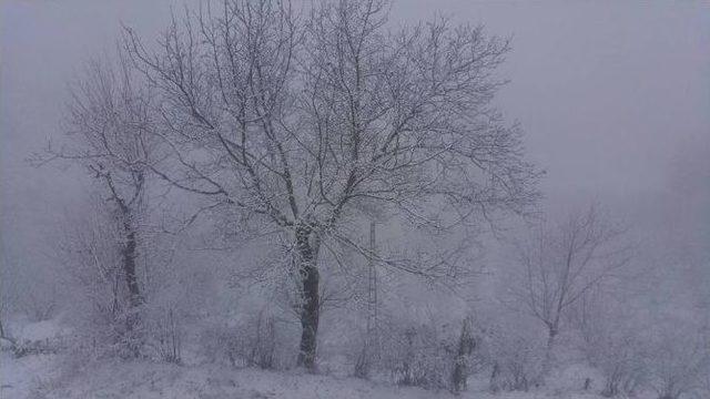 Gümeli’de Kar Kalınlığı 50 Santimetreye Ulaştı