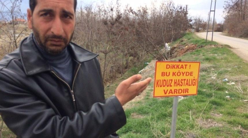 Elazığ&rsquo;da Bir K&ouml;yde Kuduz Karantinası