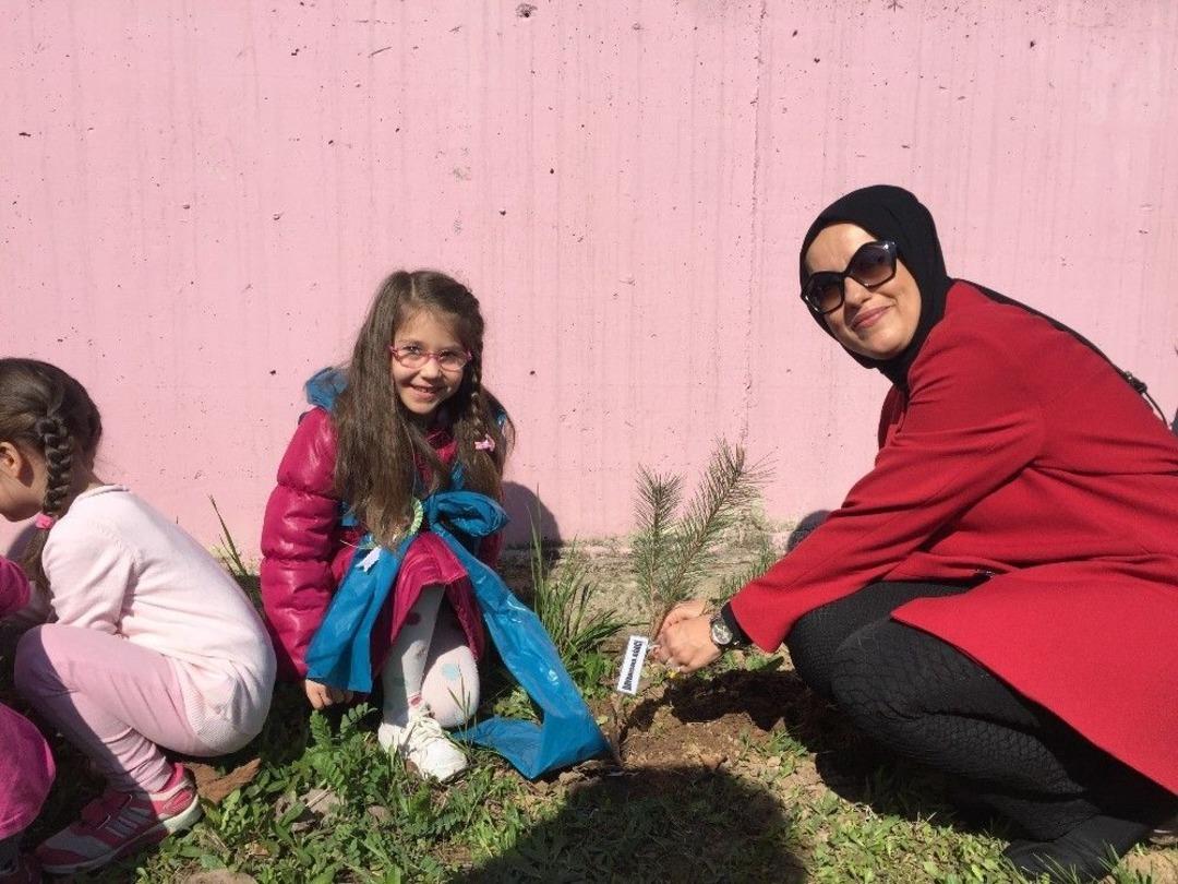 Ağa&ccedil; Kardeşliği