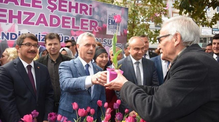 Şehzadeler’den Vatandaşlara 2 Bin Adet Lale Soğanı