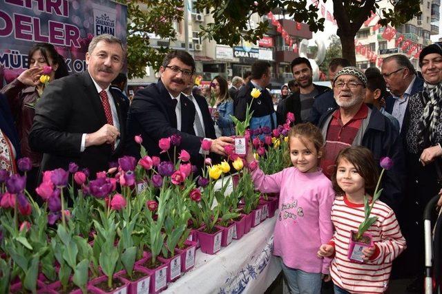 Şehzadeler’den Vatandaşlara 2 Bin Adet Lale Soğanı