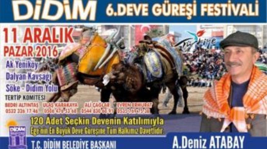 Didim Deve Güreşi Festivali 11 Aralık Pazar Günü Yapılacak