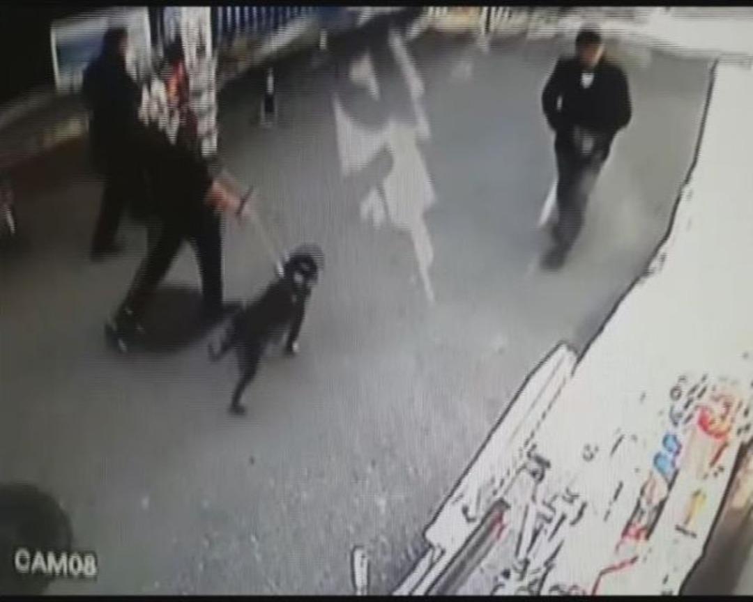 Bursa&rsquo;da Pitbul Dehşeti Kameralara B&ouml;yle Yansıdı...(&ouml;zel Haber)