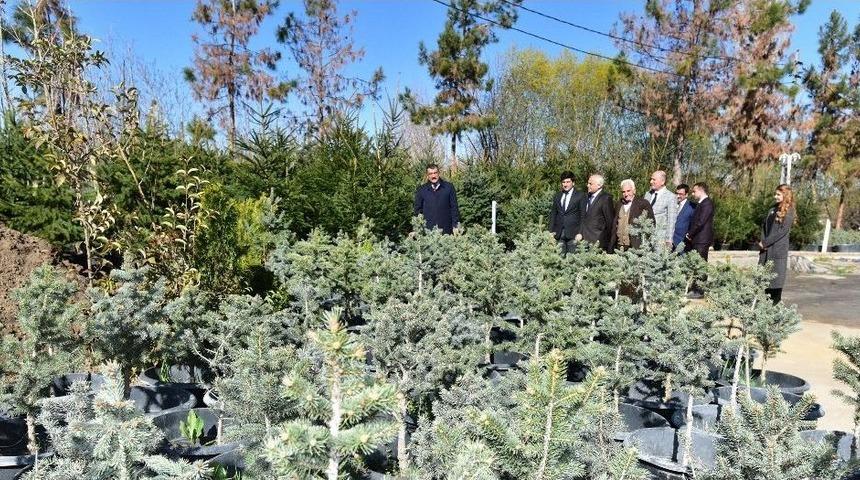 2017 Yılında 100 Bin Fidanı Toprakla Buluşturacak