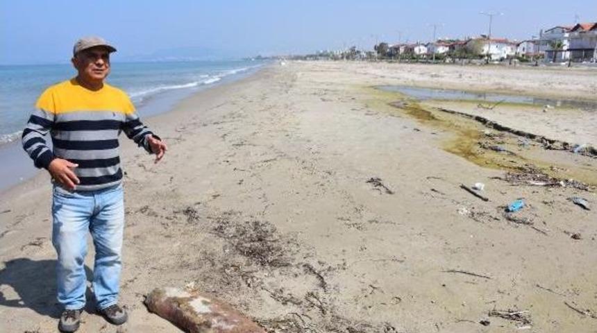 Kuşadası Körfezi'nde Bir Ayda Üçüncü Yunus Öldü