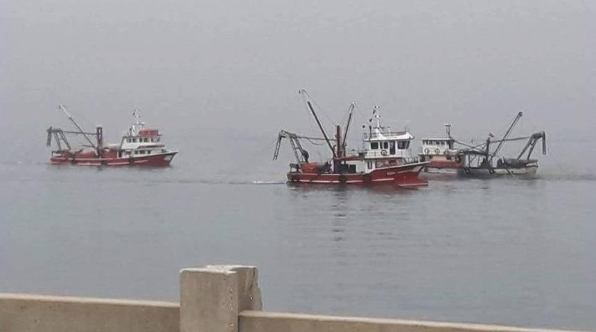 Cideli &Ccedil;evreciler, Kum Mideyesi Avcılığına Tepki G&ouml;sterdi