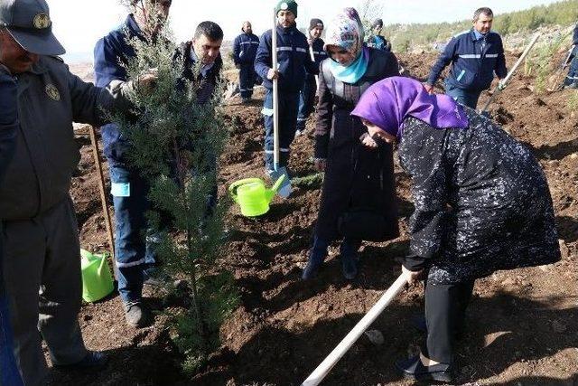 15 Temmuz Kahramanlar Ormanına Fidan Dikildi