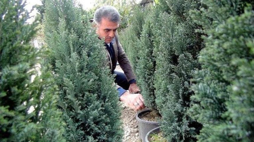 (&ouml;zel Haber) Cumhurbaşkanının Dolarını Bozdur &Ccedil;ağrısına Alın Teriyle Destek