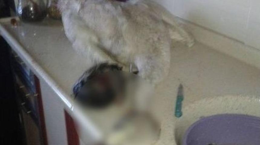 &rsquo;keskin Nişancı&rsquo;ya Para Cezası