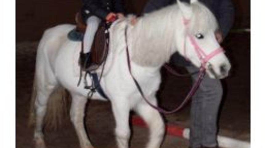 &Ccedil;ocukların Pony Sevinci