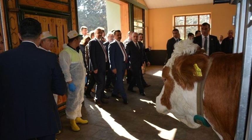 Bakan &Ccedil;elik, İlk Embriyo Transferini Ger&ccedil;ekleştirdi