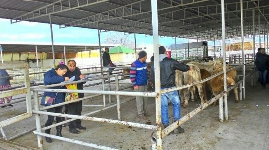 Gen&ccedil; &Ccedil;ift&ccedil;iler İşletmelerine Kavuştular