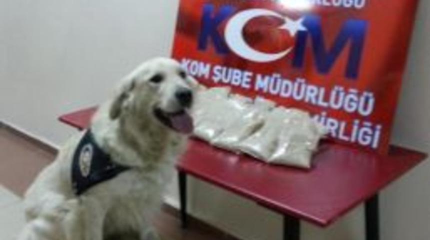 Ekmek Arası Eroine '&ccedil;apkın' Ge&ccedil;it Vermedi