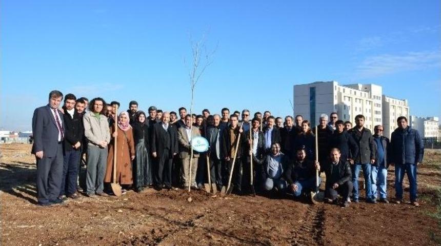 M&uuml;hendis Adayları Ağa&ccedil; Dikti