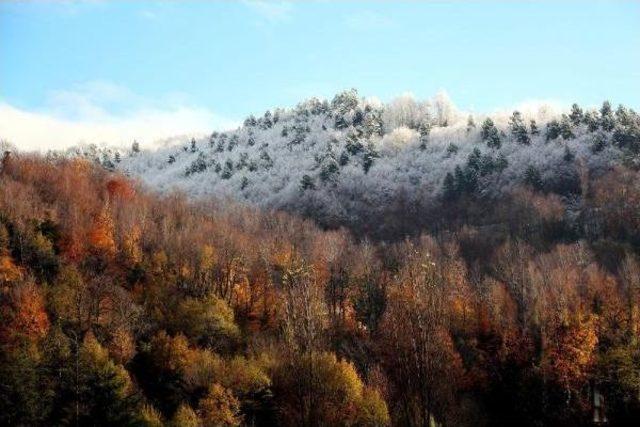 Zonguldak'ta Sonbahar Ve Kış Manzarası Aynı Karede