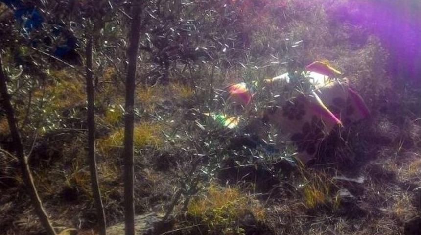 Dalaman&rsquo;da 3 G&uuml;nd&uuml;r Kayıp Olan Yaşlı Adam &Ouml;l&uuml; Bulundu