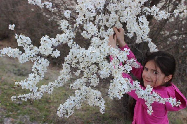 Bursa’da Bahar Uludağ’da 80 Santim Kar 3