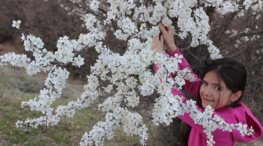 Ağa&ccedil;lar &Ccedil;i&ccedil;ekler A&ccedil;tı