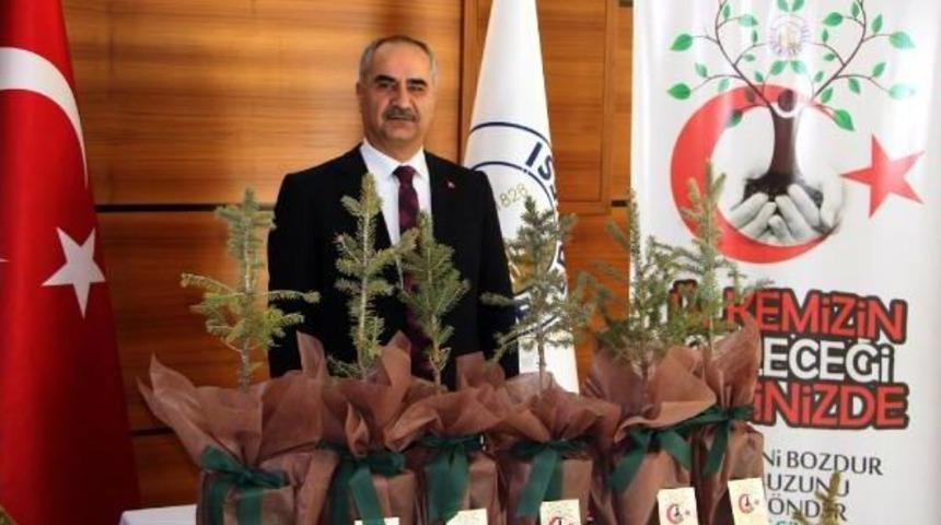 D&ouml;viz Bozdurana Kimlikli Fidan