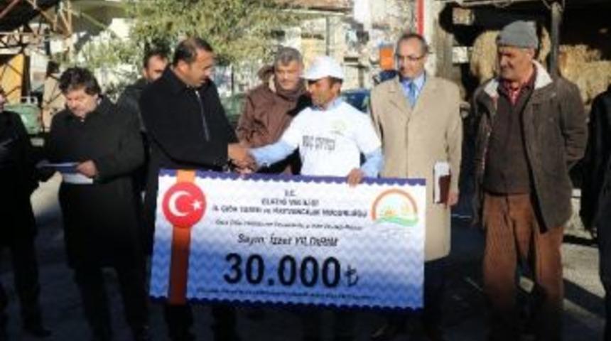 Gen&ccedil; &Ccedil;ift&ccedil;ilere 120 Adet Koyun Hibesi Verildi