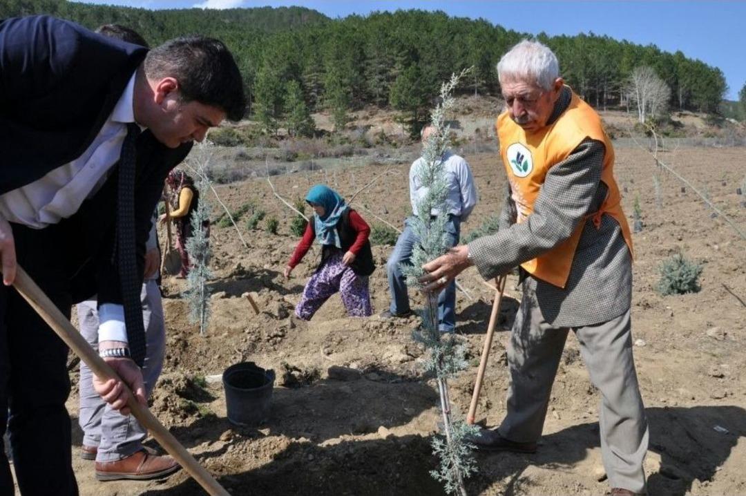 Hayatını Orman Ve Ağa&ccedil;lara Adayan 93 Yaşındaki &Ouml;mer &Ouml;nder: "fidanlar Benim &Ccedil;ocuklarım Gibi"