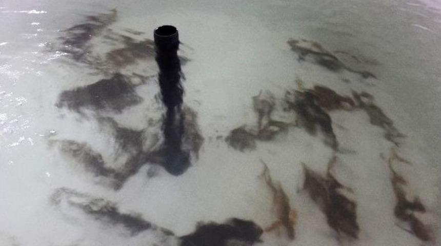 Ar-ge Merkezi, Balıklandırılmaya Başlandı