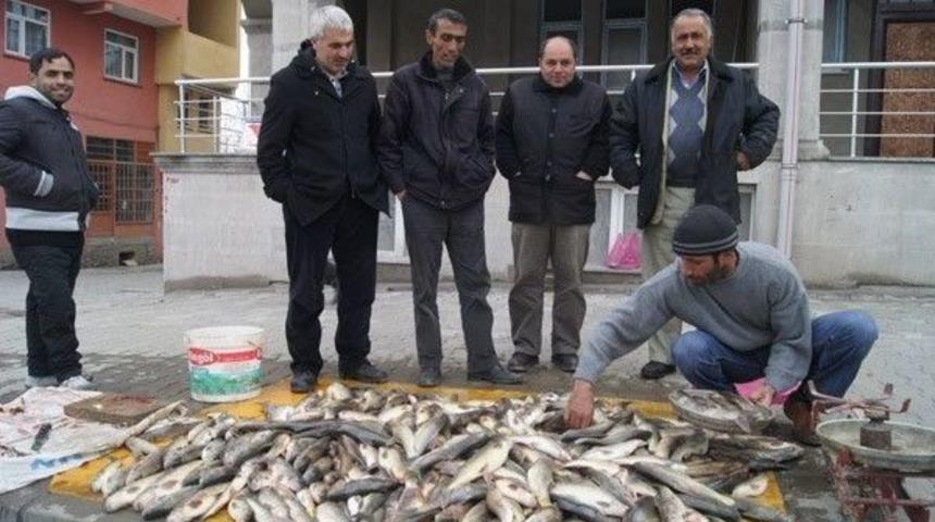 Murat Balığı Tezgahtaki Yerini Aldı
