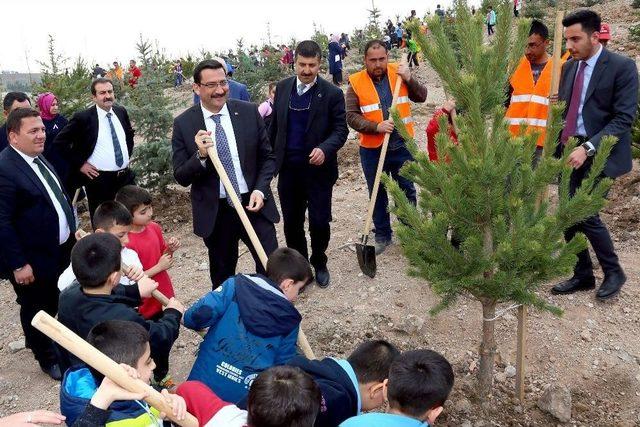 Keçiören’de 2 Bin 23 Ağaç Daha Toprakla Buluştu