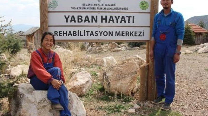G&uuml;ney Koreli &Ccedil;ift, L&uuml;ks Hayattan Sıkılıp Lisinia'ya Geldi