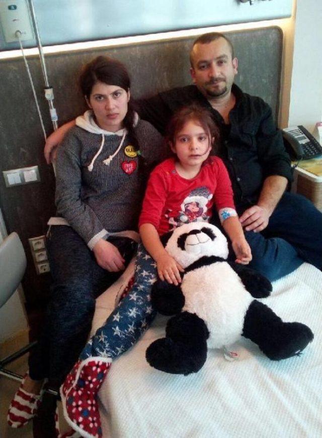 Karaciğer Kanseri 8 Yaşındaki Tuğçe ye Başarılı Ameliyat 2