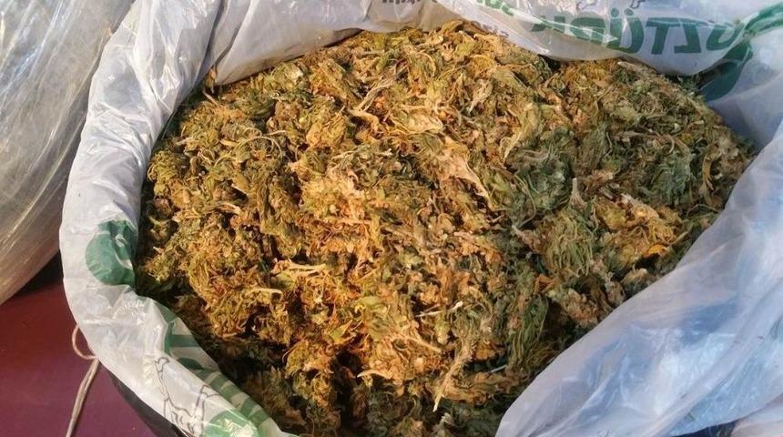 &rsquo;beyaz Zehir&rsquo; Tacirlerine Ge&ccedil;it Yok