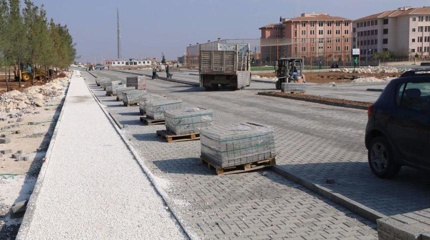 Harran&rsquo;da Değişim S&uuml;r&uuml;yor