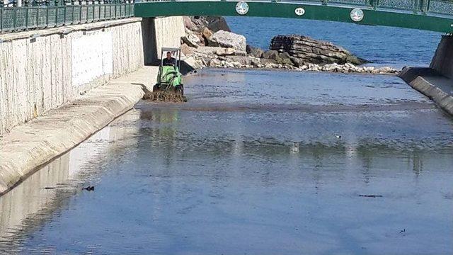 Akçakoca Çivi Deresi Temizlendi