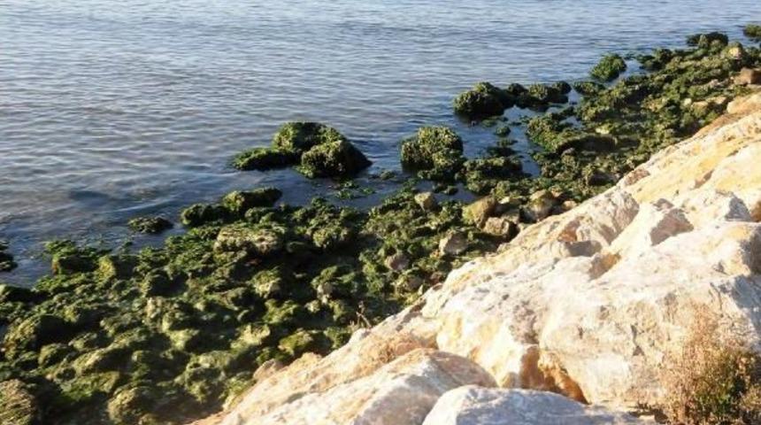 Yalova'da Deniz 10 Metre &Ccedil;ekildi