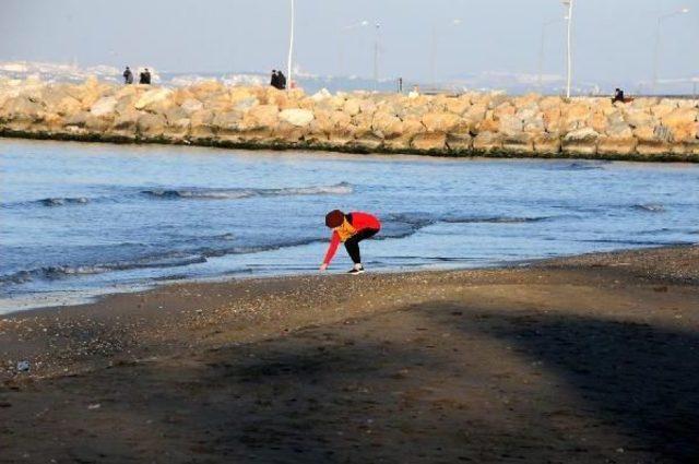 Yalova'da Deniz 10 Metre Çekildi