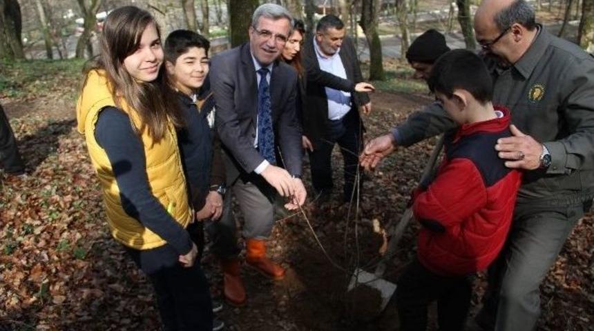 Akyazı Belediyesinden &ldquo;dikili Bir Liran Olsun&rdquo; Kampanyası