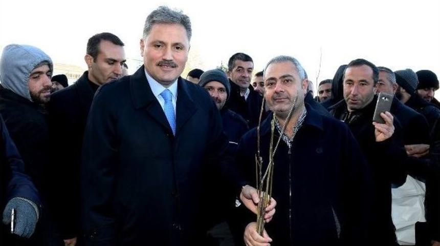 B&uuml;y&uuml;kşehir Belediyesi 646 Bin Fidan Dağıttı