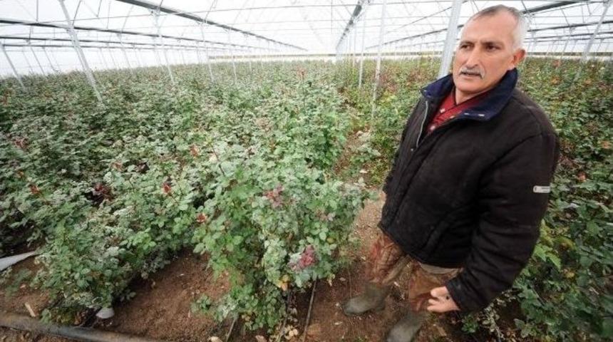 Destek Aldı, Sekt&ouml;r&uuml;nde Karadeniz&rsquo;in Lideri Oldu