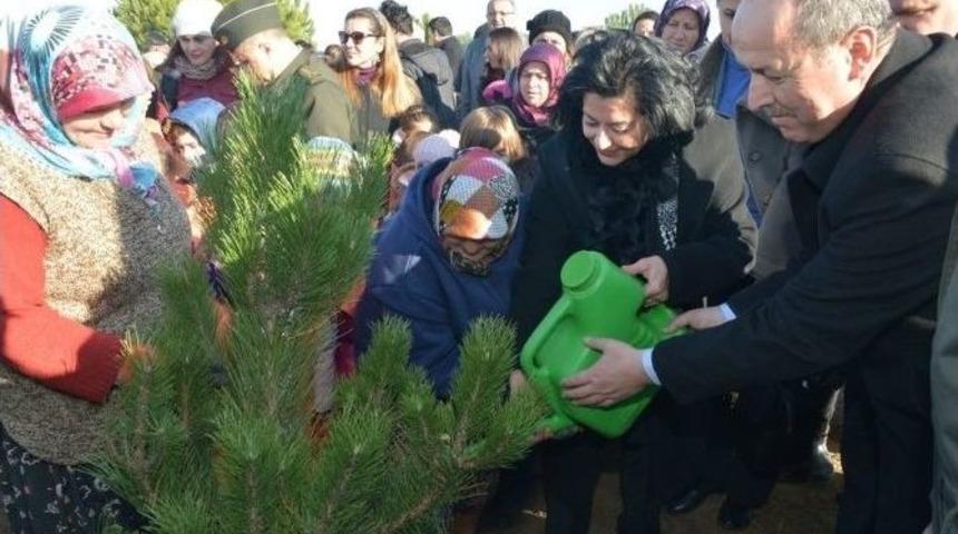 Kırklareli Bereket Ormanı&rsquo;nda 52 Bin Fidan Toprakla Buluştu