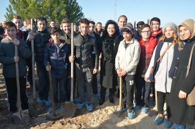 Kırklareli Bereket Ormanı’nda 52 Bin Fidan Toprakla Buluştu