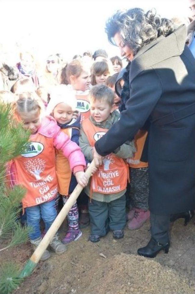 Kırklareli Bereket Ormanı’nda 52 Bin Fidan Toprakla Buluştu