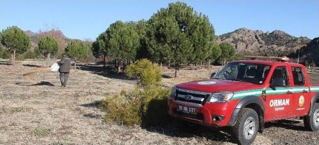 Osmancık’ta Kuşlar İçin Yem Bırakıldı